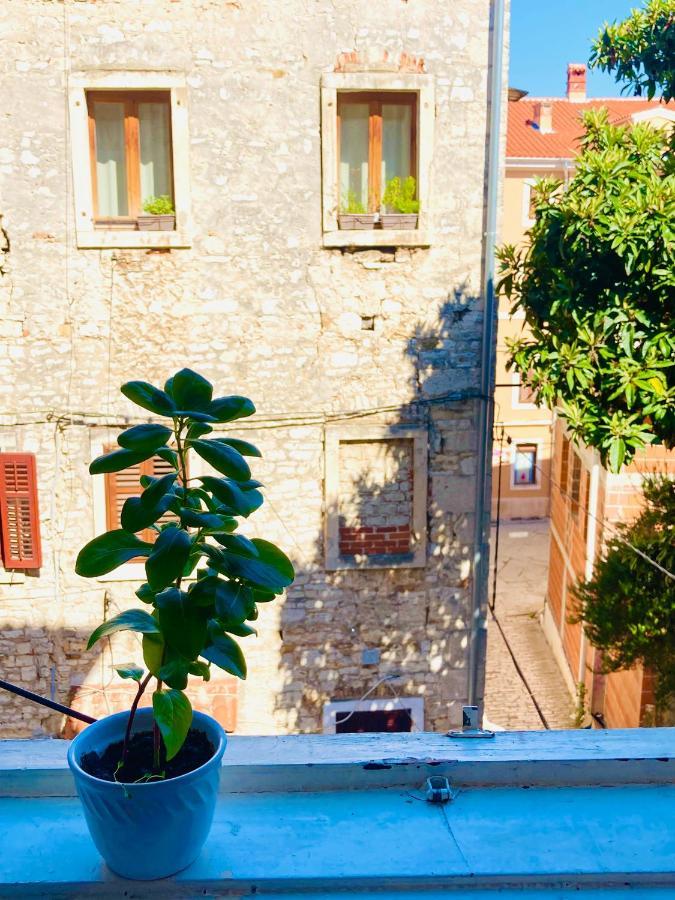 In The Center & Nice & Quiet Pula Exterior photo